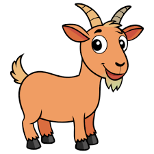 Goat